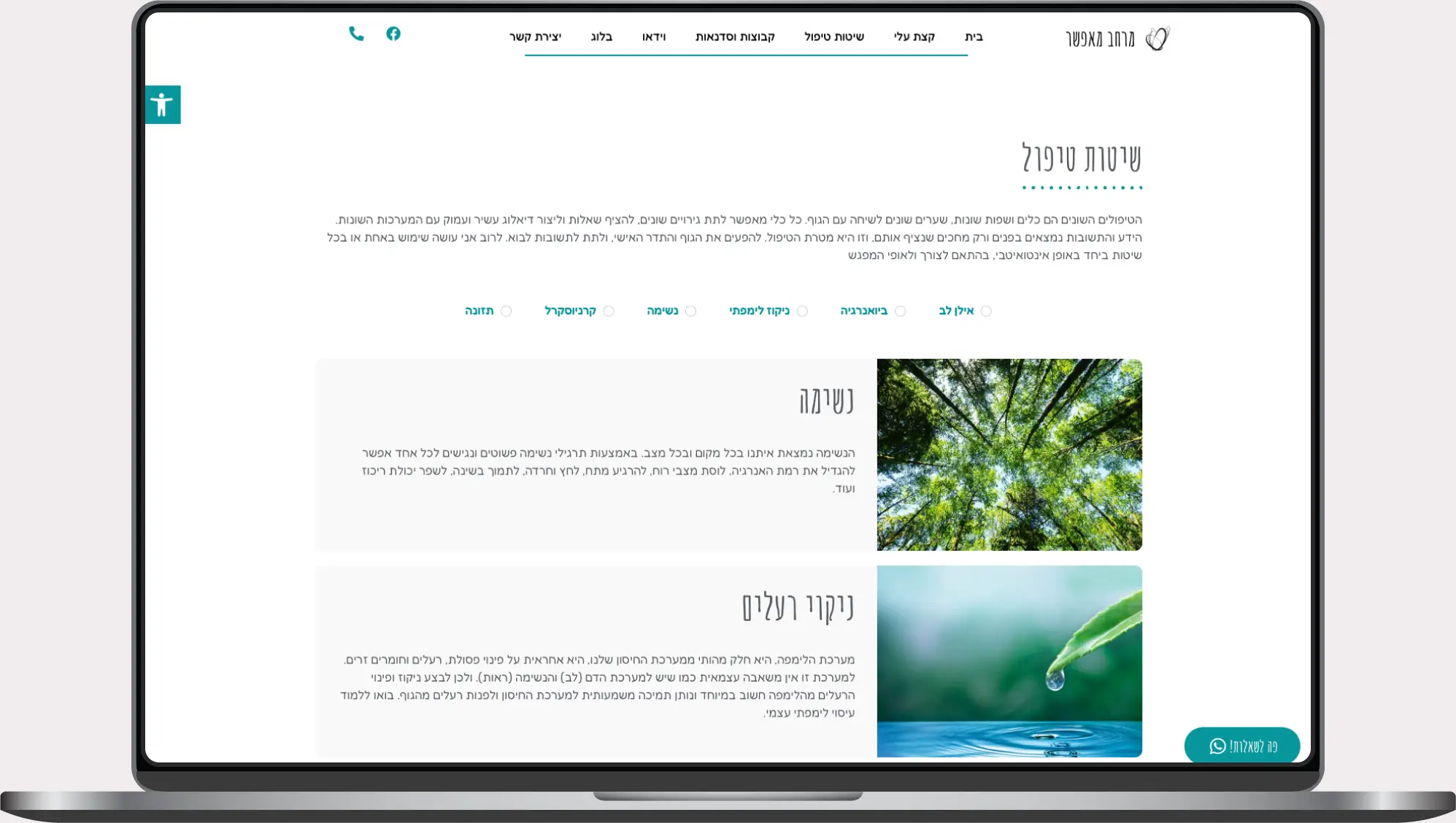 תצוגת אתר של ריי