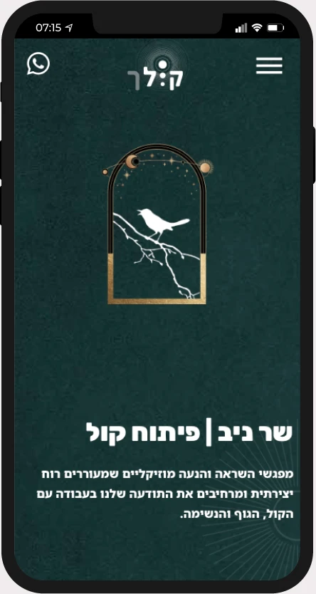 תצוגת אתר של ניב שר במובייל