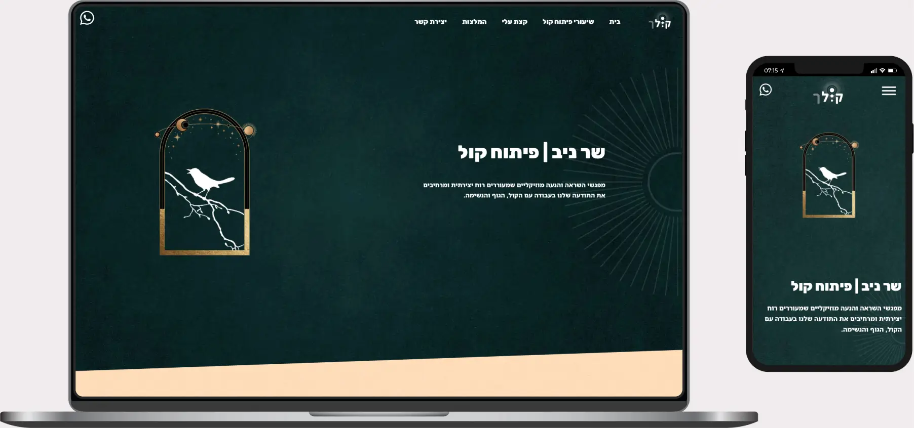 תצוגת אתר של ניב שר
