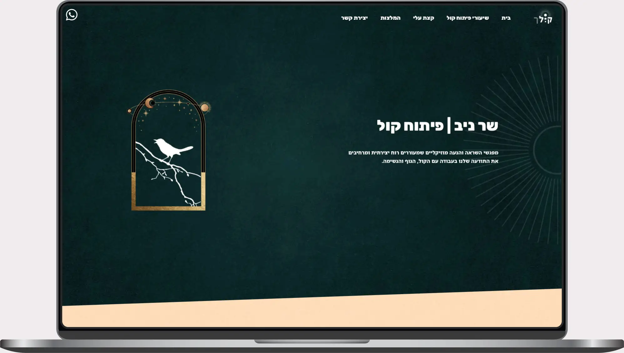 תצוגת אתר של ניב שר